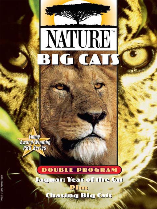 Click image to view full cover
